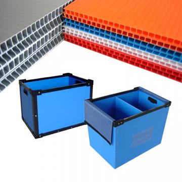 Colorful PP Hollow Corrugatedt Plastic Sheet or Board for Packaging
