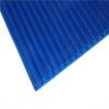 Blue Color Polycarbonate Twin Wall Hollow Sheet for Greenhouse