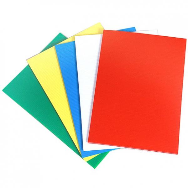 Extruded Polypropylene Sheets, PP Hollow Sheets, Corrugated PP Sheets #1 image