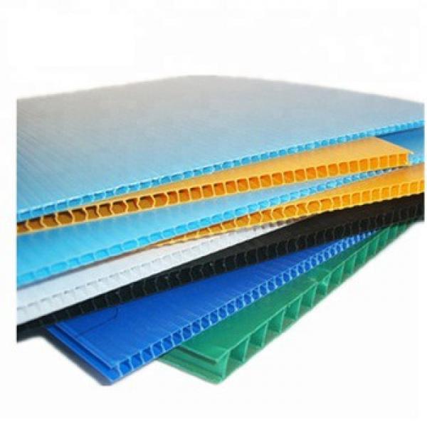 Polypropylene PP Corrugated Plastic for Separation and Protection/Polypropylene Hollow Board for Separation Protection/Corflute Sheet #3 image