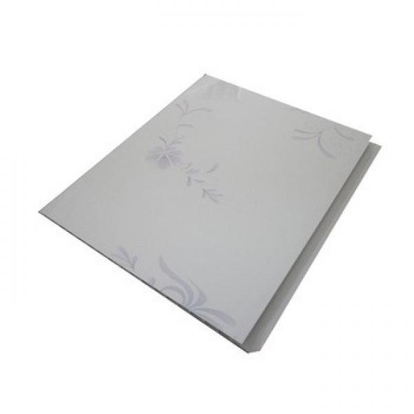 HDPE Waterproof Material Plastic Single Side Dimple Drainage Board #2 image